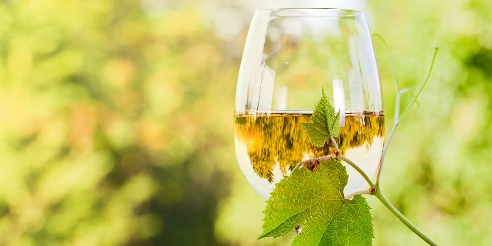 Styles de vin : vin blanc doux - Enoteca Divino