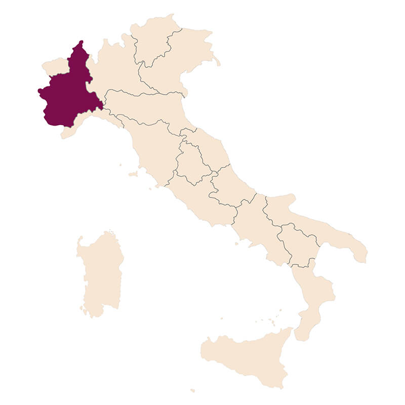 Cépage Barbera, région du Piémont en Italie - Enoteca Divino