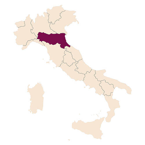 Cépage Lambrusco, région d'Émilie-Romagne en Italie - Enoteca Divino
