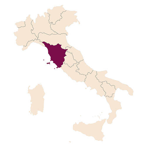 Cépage Sangiovese, région de Toscane en Italie - Enoteca Divino