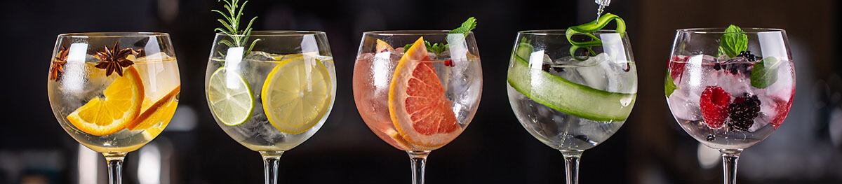 Nos gins pour réaliser un Gin Tonic - Enoteca Divino