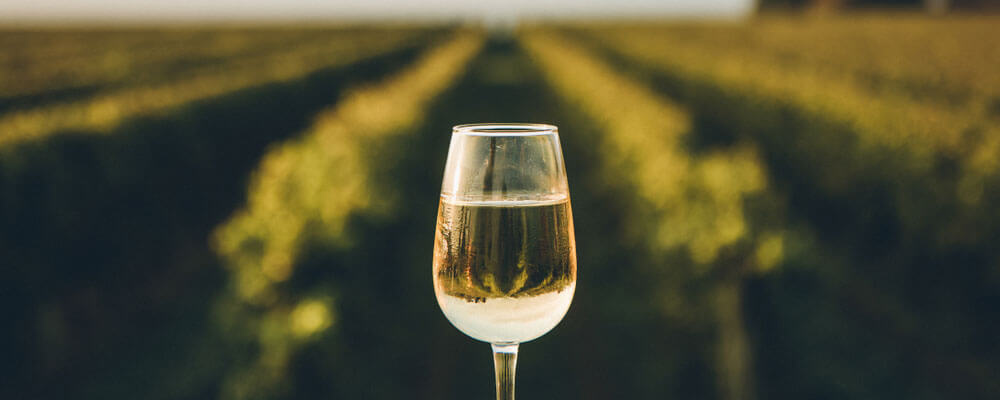 Sélection vin blanc de l'été - Enoteca Divino